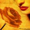 alexy_lory